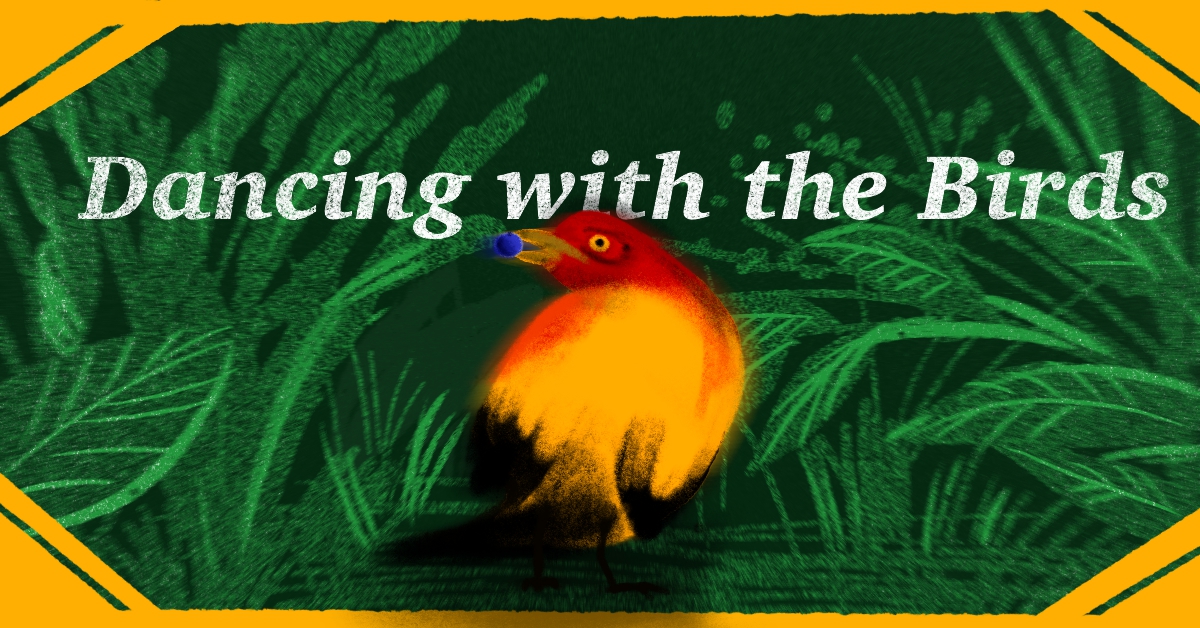 이주의 넷플릭스 : 새들과 춤을